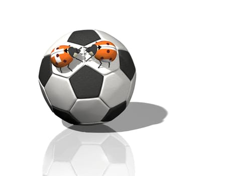Football Match