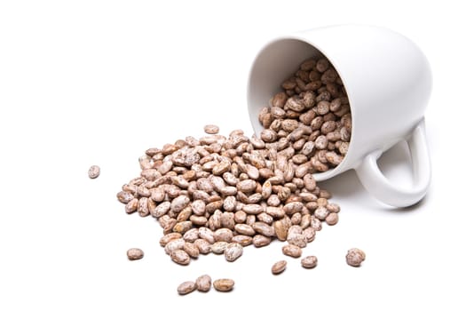 spill the beans