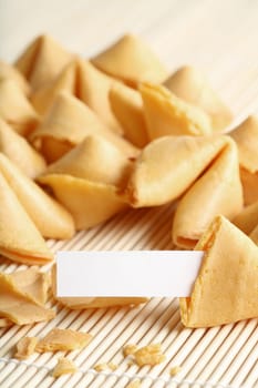 fortune cookie