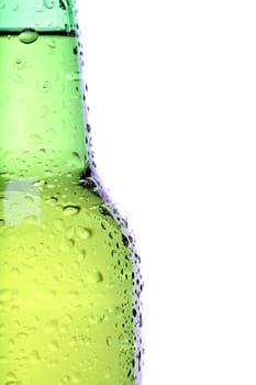 beer bottle closeup isolated