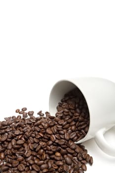 spill the beans