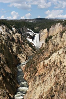 Yellowstone National Park - Lower Falls