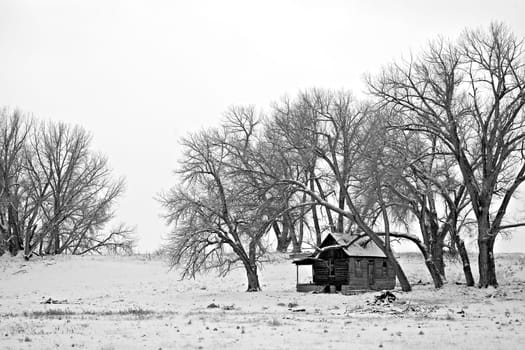 winter shelter