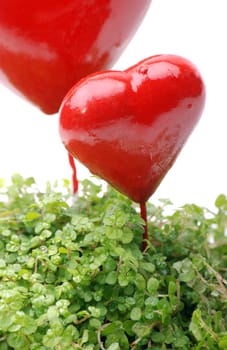 Valentine