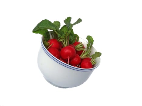 Radish
