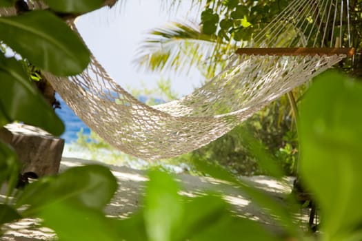tropical beach