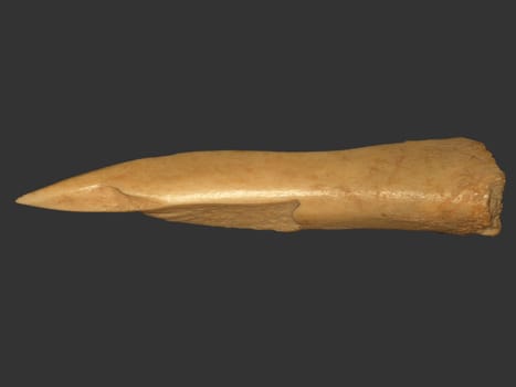 Bone Drill
