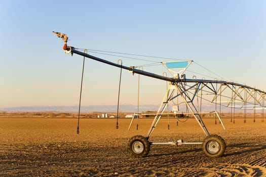 agriculture industry
