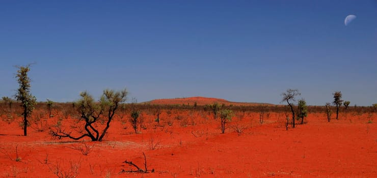 red continent