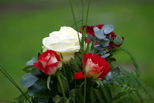 Rose Arrangement