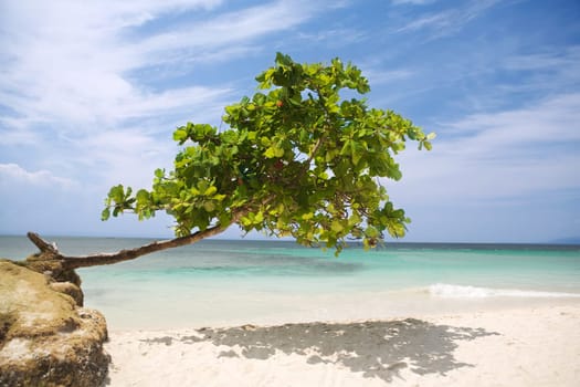Caribbean beach