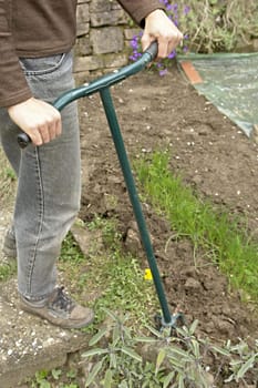 Gardening