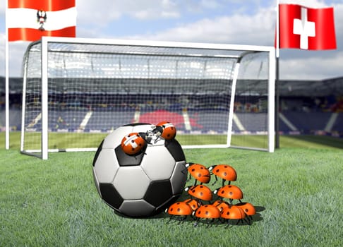 Football,Euro 2008,European Championship