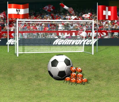 Football,Euro 2008