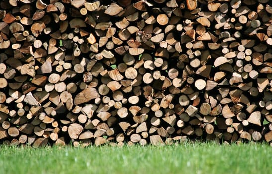 Wood Pile II