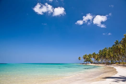 Caribbean beach