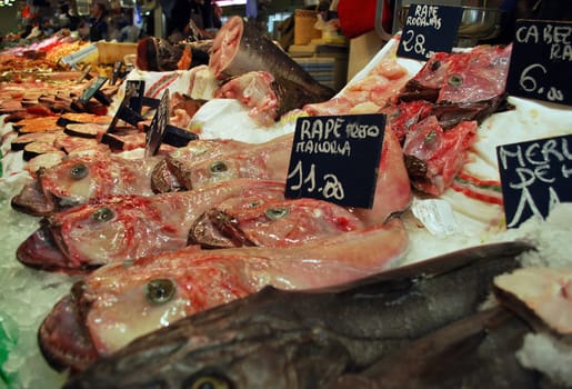 Fish Market 365