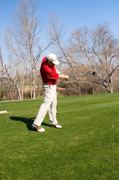 Golfer