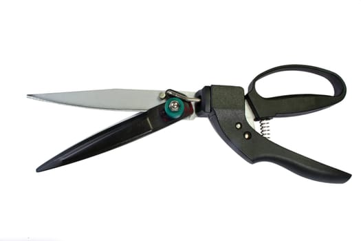 Pruning shears