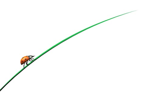 Ladybug climbs upwards