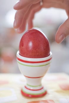 Egg with hand