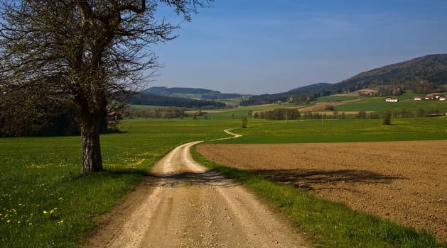 Bavarian Forest National Park