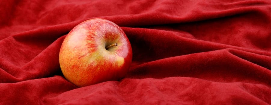 Apple on red velvet - Panorama