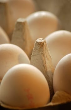 Eggs