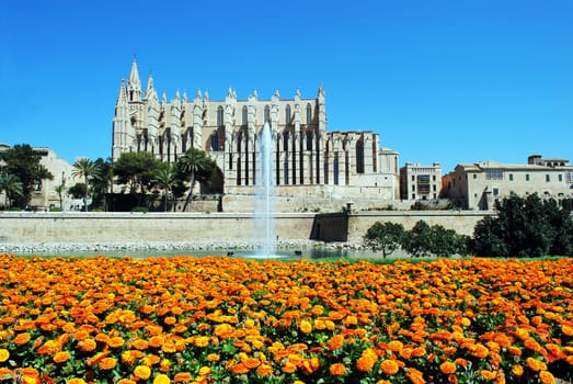 Cathedral 534