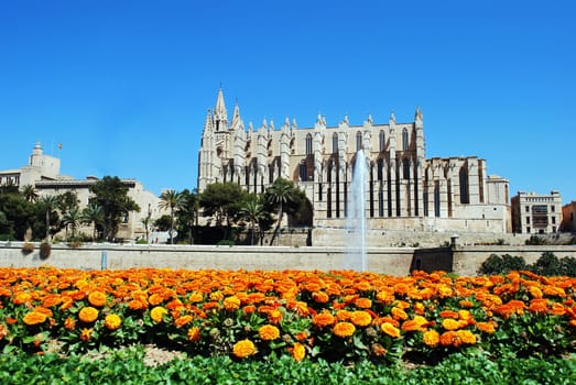 Cathedral de la Seu 533