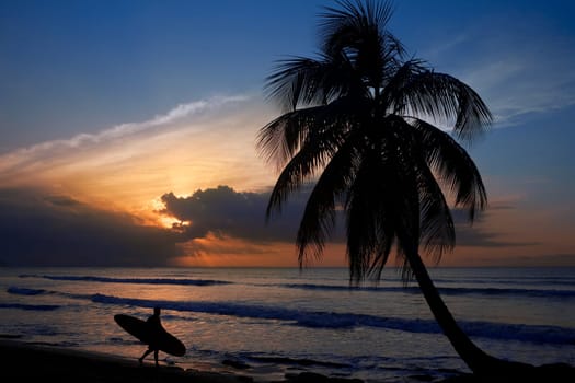 Surfer Sunset