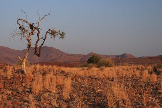 Landscape in Damaraland in Namibia