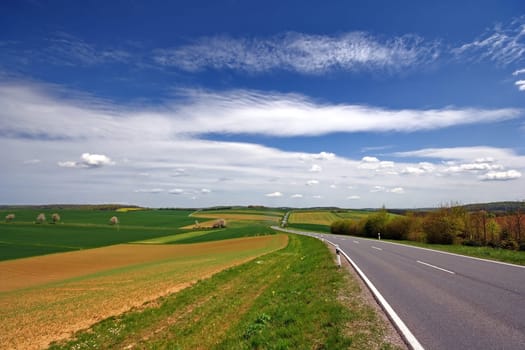 Width
