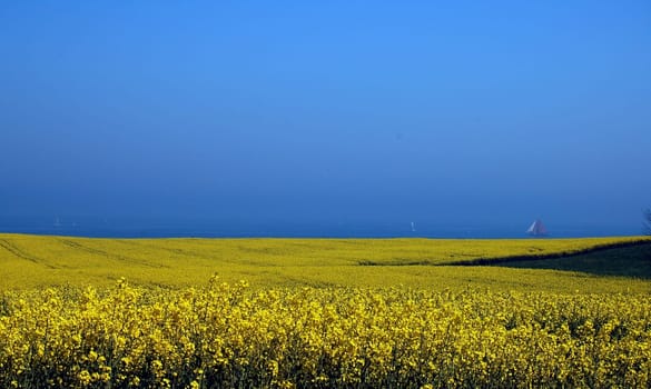 ... finally spring again on the Baltic Sea coast!