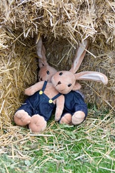 Stuffed bunnies in hay