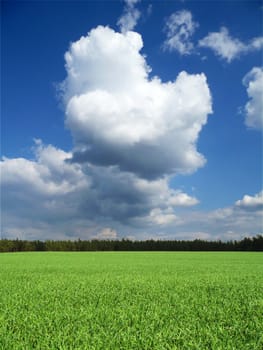 Cloud over green