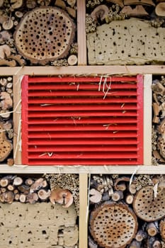 Apiary