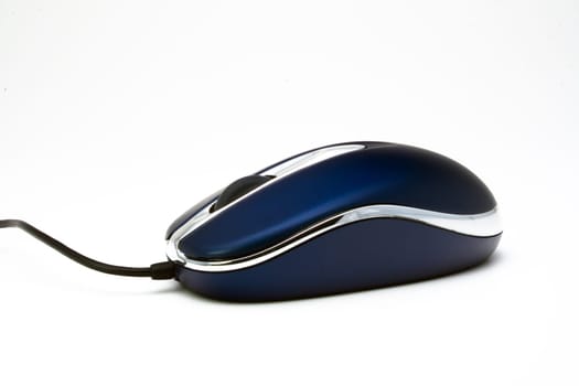 computer mouse