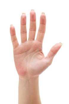Palm hand without shake without fist without point without extra without counting