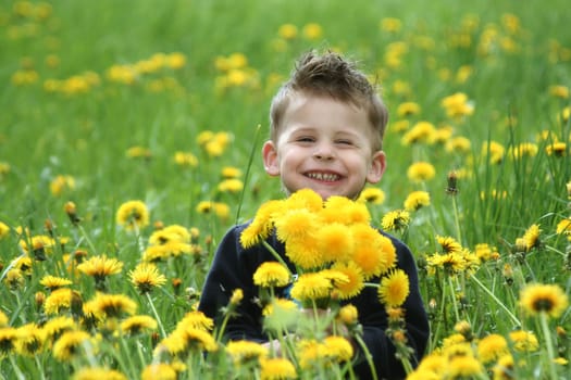 Floral Greeting IIII