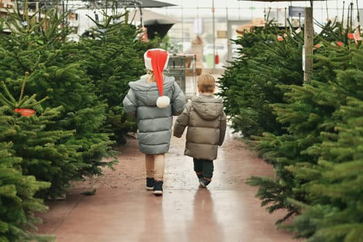 Children in a red caps choose a Christmas tree at a market.