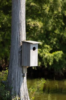 Wooden wood duck (Aix sponsa) nesting box on a tree above water