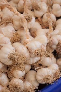 organic garlic in the market,