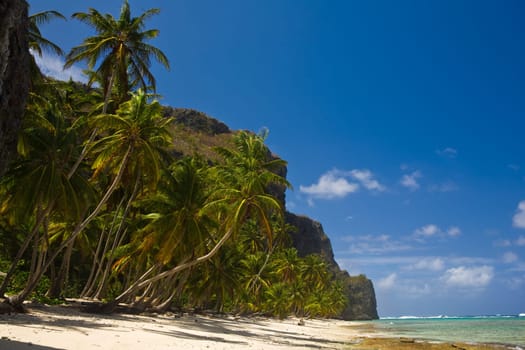 Caribbean beach