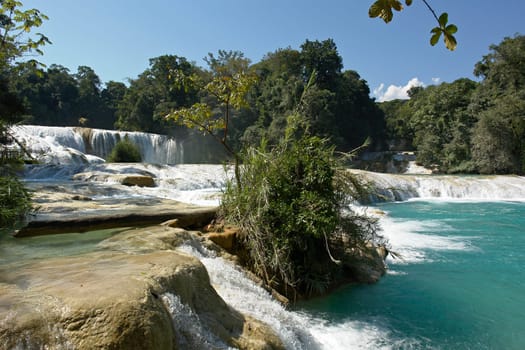 Agua Azul Falls,Mexico