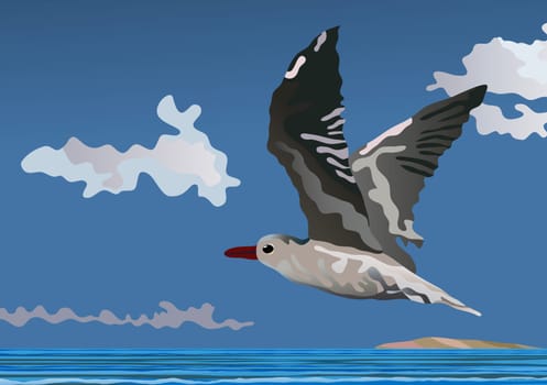 Seagull in gliding flight