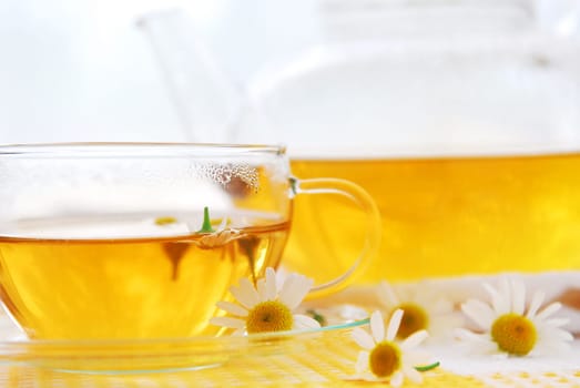 Camomile tea