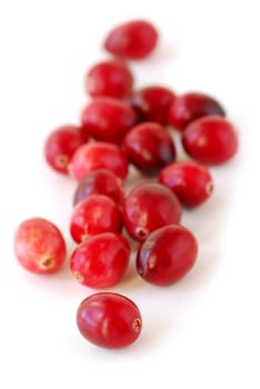 Cranberries macro