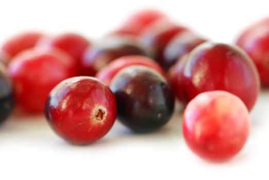 Cranberries macro