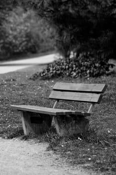 bench or (bank building without river without house without skyline)